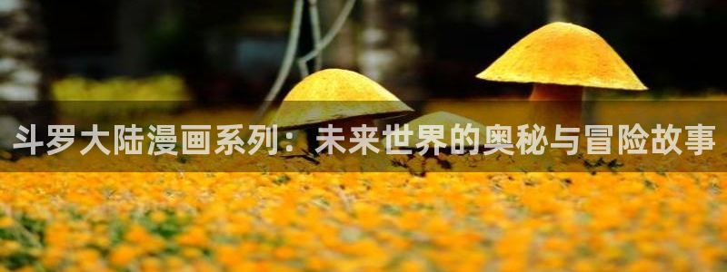 91动漫在线观看网站