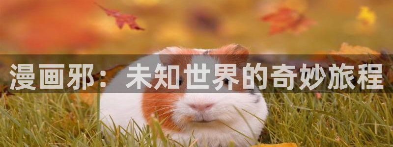 91漫画免费网站入口