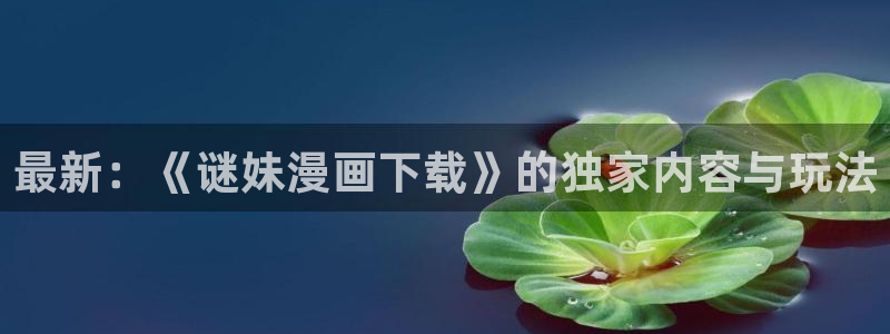 91动漫网在线观看